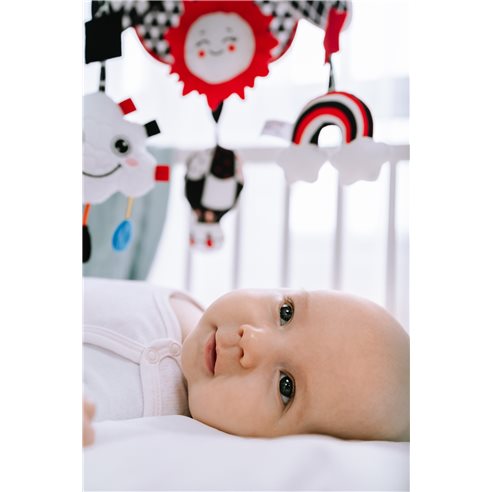 BaliBazoo Karuzelka Sensory Travel