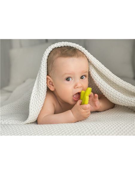 Gili Gums Szczoteczka do Mycia Zębów Kaktus