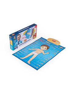 Dumel Edukacyjne Plakaty Człowiek DG62395