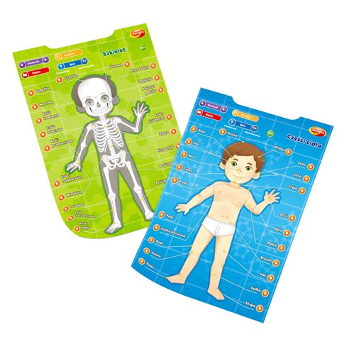 Dumel Edukacyjne Plakaty Człowiek DG62395