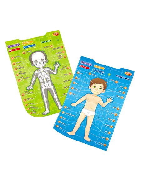 Dumel Edukacyjne Plakaty Człowiek DG62395