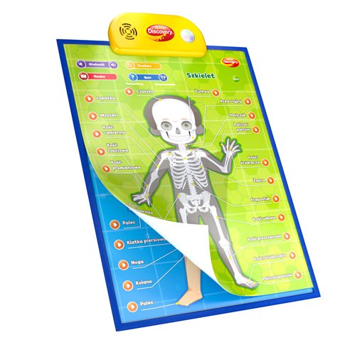 Dumel Edukacyjne Plakaty Człowiek DG62395