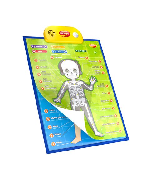 Dumel Edukacyjne Plakaty Człowiek DG62395