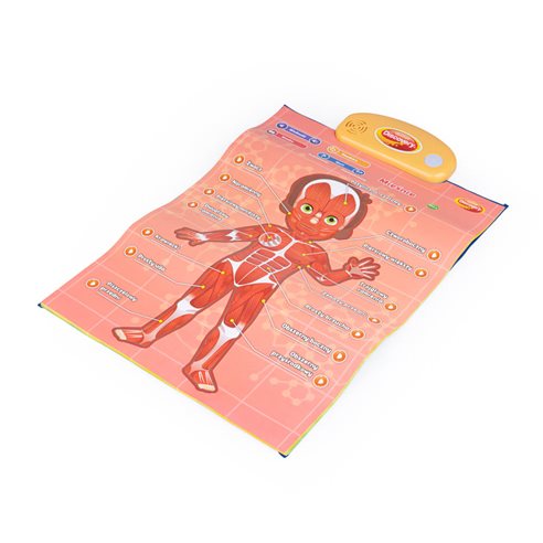 Dumel Edukacyjne Plakaty Człowiek DG62395