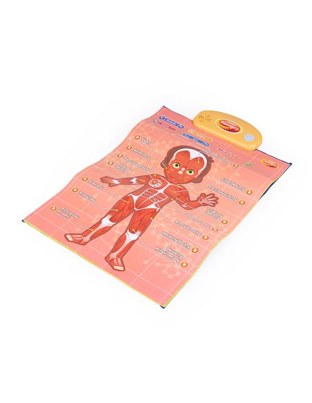 Dumel Edukacyjne Plakaty Człowiek DG62395