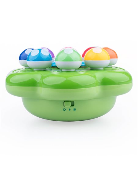 Dumel Symfonia Grzybków DD62371